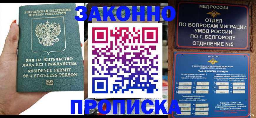 прописка для кредита в Шали